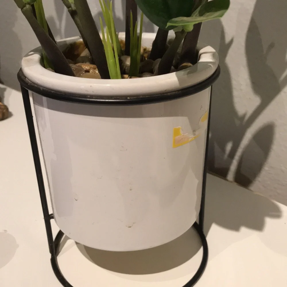Faux Plant Artificial ZZ Plant Faux Greens NEW Perfect Size FINAL SALE - Picture 5 of 8